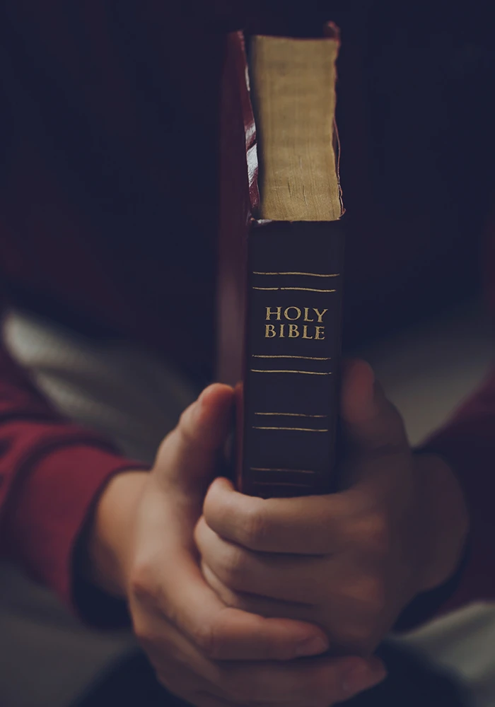 DANIEL - Interpretation, History, and Theology